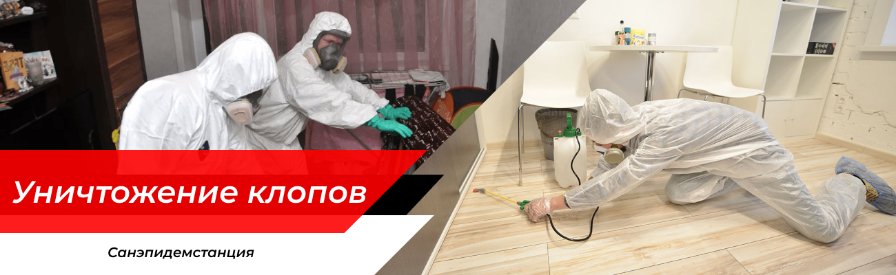 Уничтожение клопов Кашира